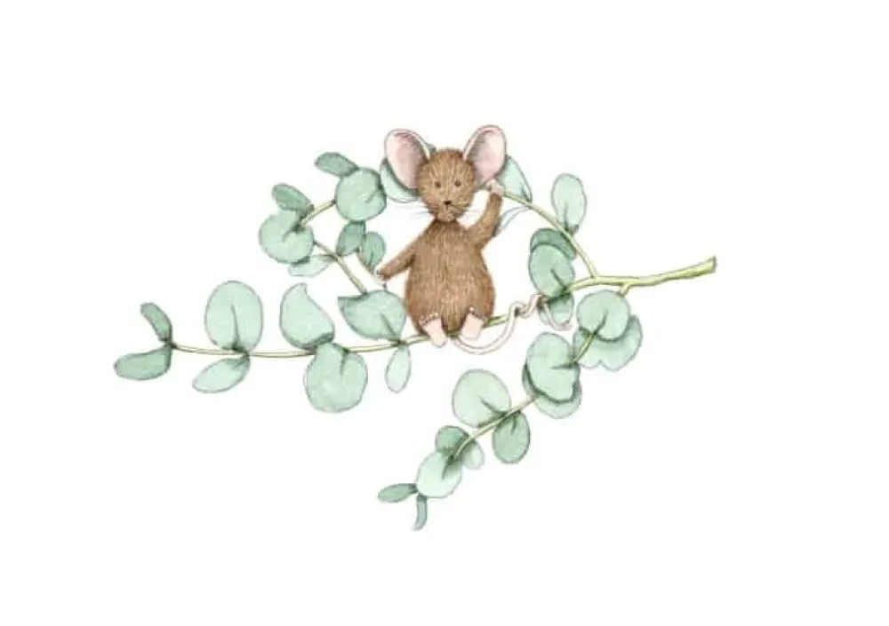 Anillustration Wenskaarten^Ansichtkaart Eucalyptus muis