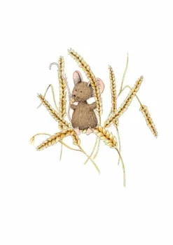 Anillustration Wenskaarten^Ansichtkaart Muis op tarwe