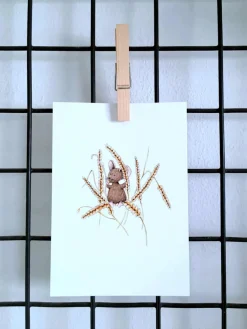 Anillustration Wenskaarten^Ansichtkaart Muis op tarwe