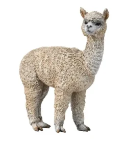 Collecta Collecta Dieren En Figuren^Alpaca 88960