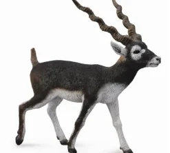 Collecta Collecta Dieren En Figuren^Antiloop Zwarte Bok 88638