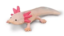 Collecta Collecta Dieren En Figuren^Axolotl 80015