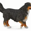 Collecta Collecta Dieren En Figuren^Berner Sennenhond 88801