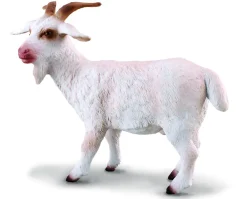 Collecta Collecta Dieren En Figuren^Bok 88212