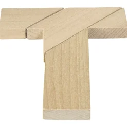 GOKI Breinbrekers^Puzzel Hersenbrekers