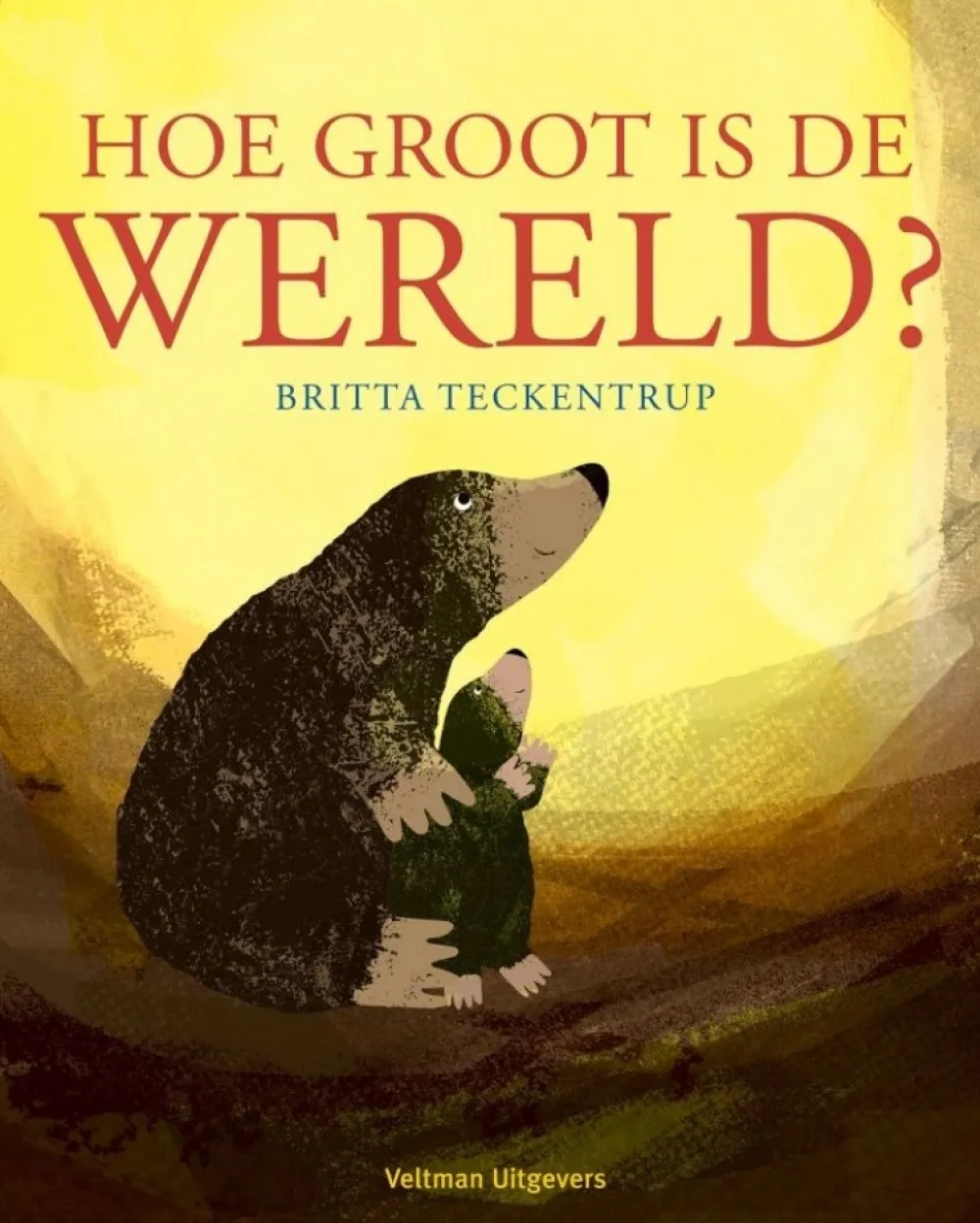 Veltman Uitgevers Bekijk Alles^Hoe groot is de wereld?