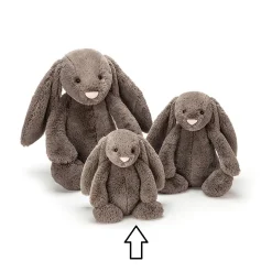 Jellycat Bashfuls^Knuffel Konijn Bashful Truffle Bunny Small