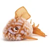Jellycat Colourful & Quirky^Knuffel Vis Grumpy Fish Orange