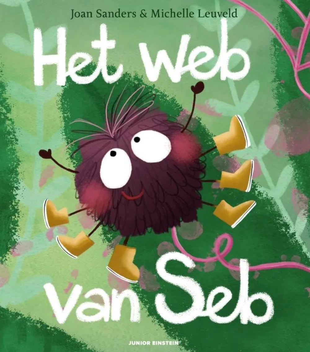 Houtendiershop Prentenboeken|Bekijk Alles^Junior Einstein Het web van Seb