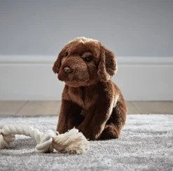 Living Nature Living Nature|Bekijk Alles^Knuffel Hond Labrador Chocoladebruin