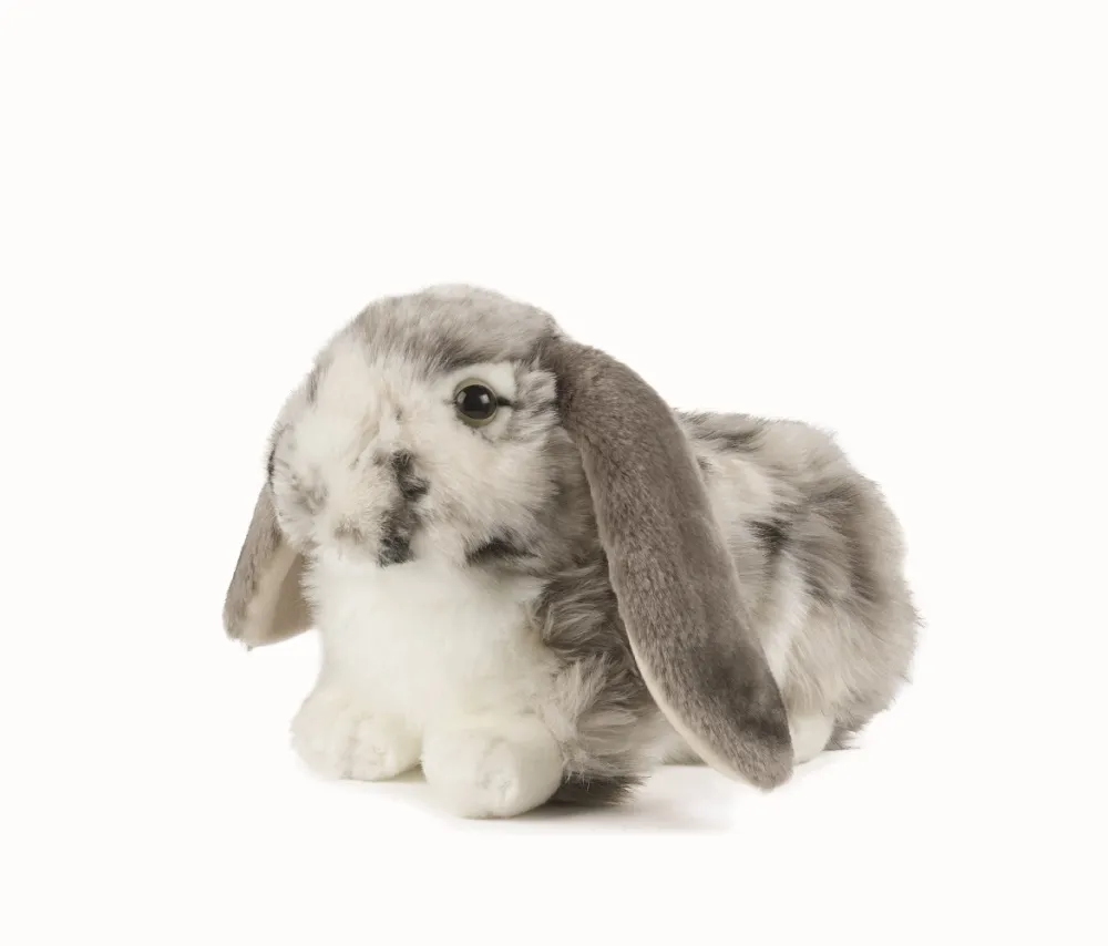 Living Nature Living Nature|Bekijk Alles^Knuffel Konijn Nederlandse Hangoor Dwerg Grijs