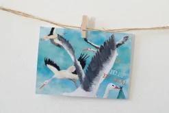 Lotte Drouen Wenskaarten^Ansichtkaart Hiep hiep hoera ooievaar