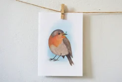 Lotte Drouen Wenskaarten^Ansichtkaart Roodborstje met bloemen