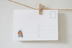 Lotte Drouen Wenskaarten^Ansichtkaart Roodborstje met bloemen