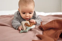 Lässig Babyspeelgoed^Bijtring Hout/Siliconen Little Universe