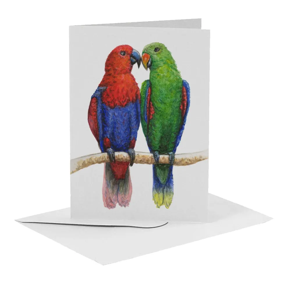 World of Mies Wenskaarten^MiesToGo Wenskaart Edelpapegaai Duo