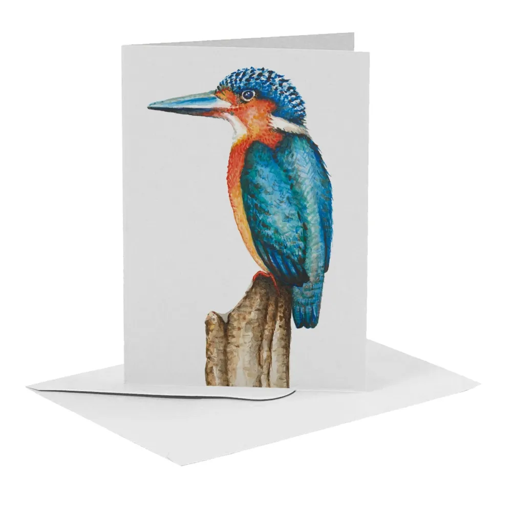 World of Mies Wenskaarten^MiesToGo Wenskaart IJsvogel