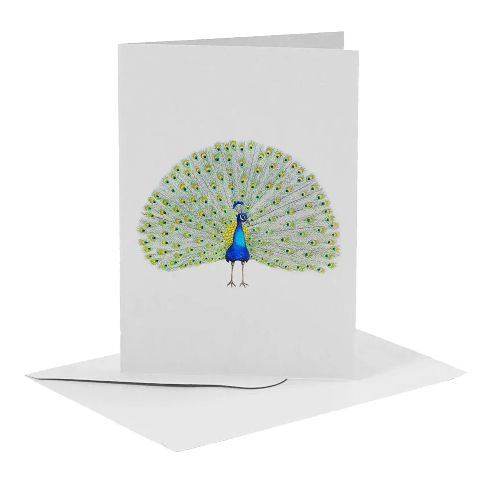 World of Mies Wenskaarten^MiesToGo Wenskaart Pauw