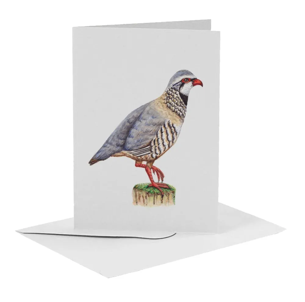 World of Mies Wenskaarten^MiesToGo Wenskaart Rode Patrijs