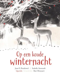 Querido Bekijk Alles^Op een koude winternacht
