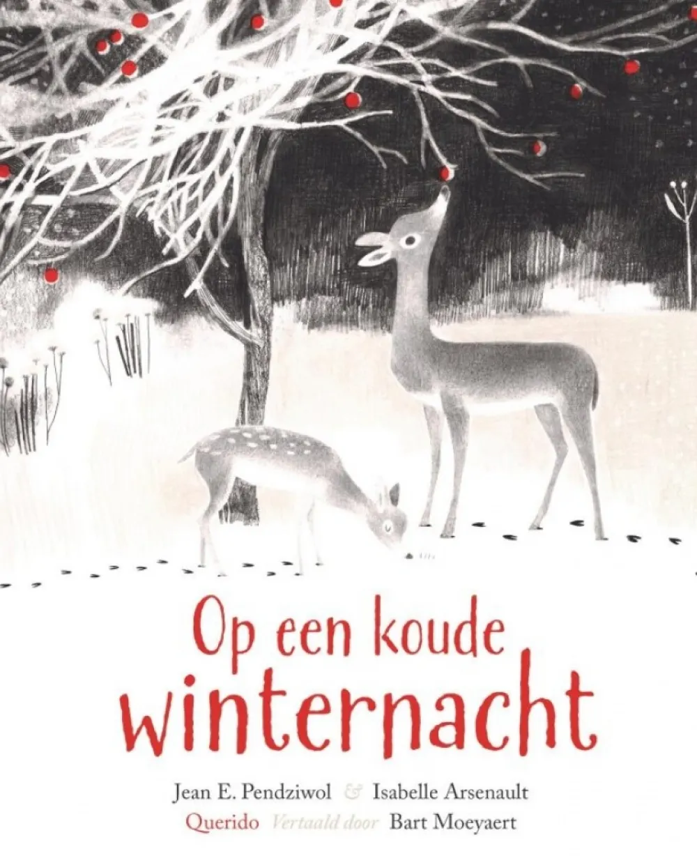 Querido Bekijk Alles^Op een koude winternacht