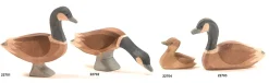 Ostheimer Boerderijdieren|Ganzen^Gans Canadees Klein Zwemmend 22704