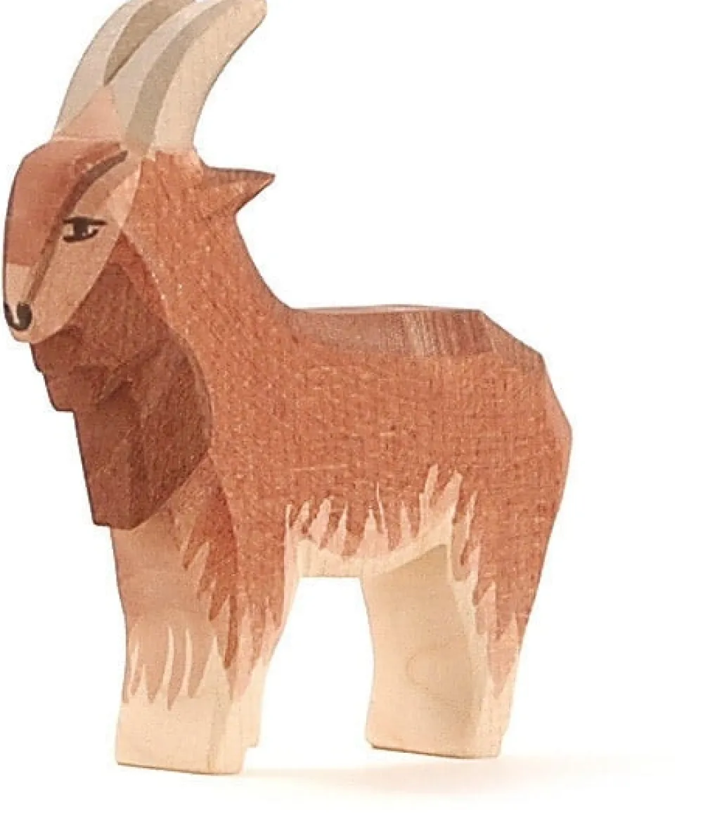 Ostheimer Boerderijdieren|Geiten^Geit Bok 11711