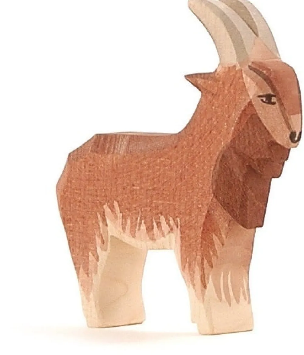 Ostheimer Boerderijdieren|Geiten^Geit Bok 11711