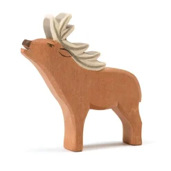 Ostheimer Bosdieren|Hertachtigen^Hert 15351