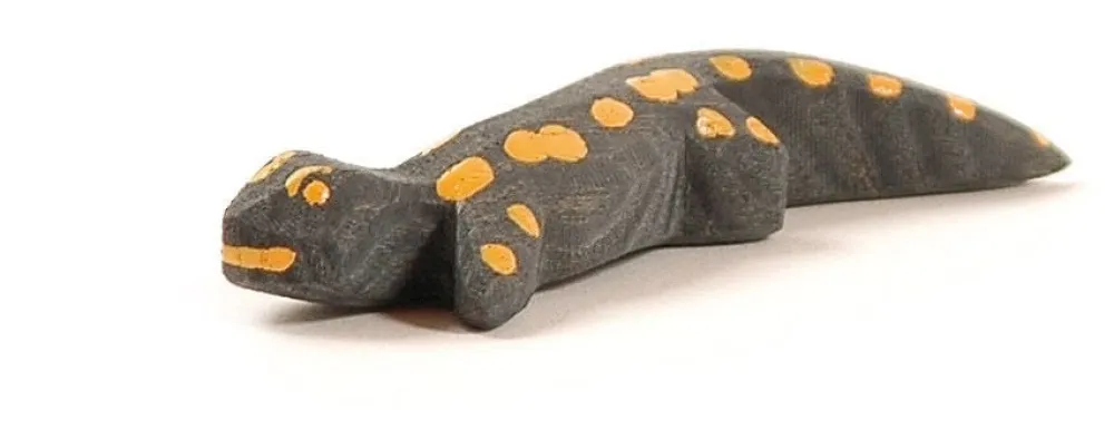 Ostheimer Bosdieren|Amfibiën^Salamander 1655