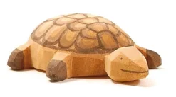 Ostheimer Wilde Dieren|Reptielen^Schildpad 2083