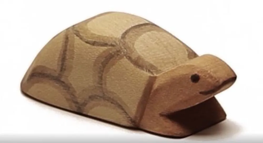 Ostheimer Wilde Dieren|Reptielen^Schildpad Klein 20832