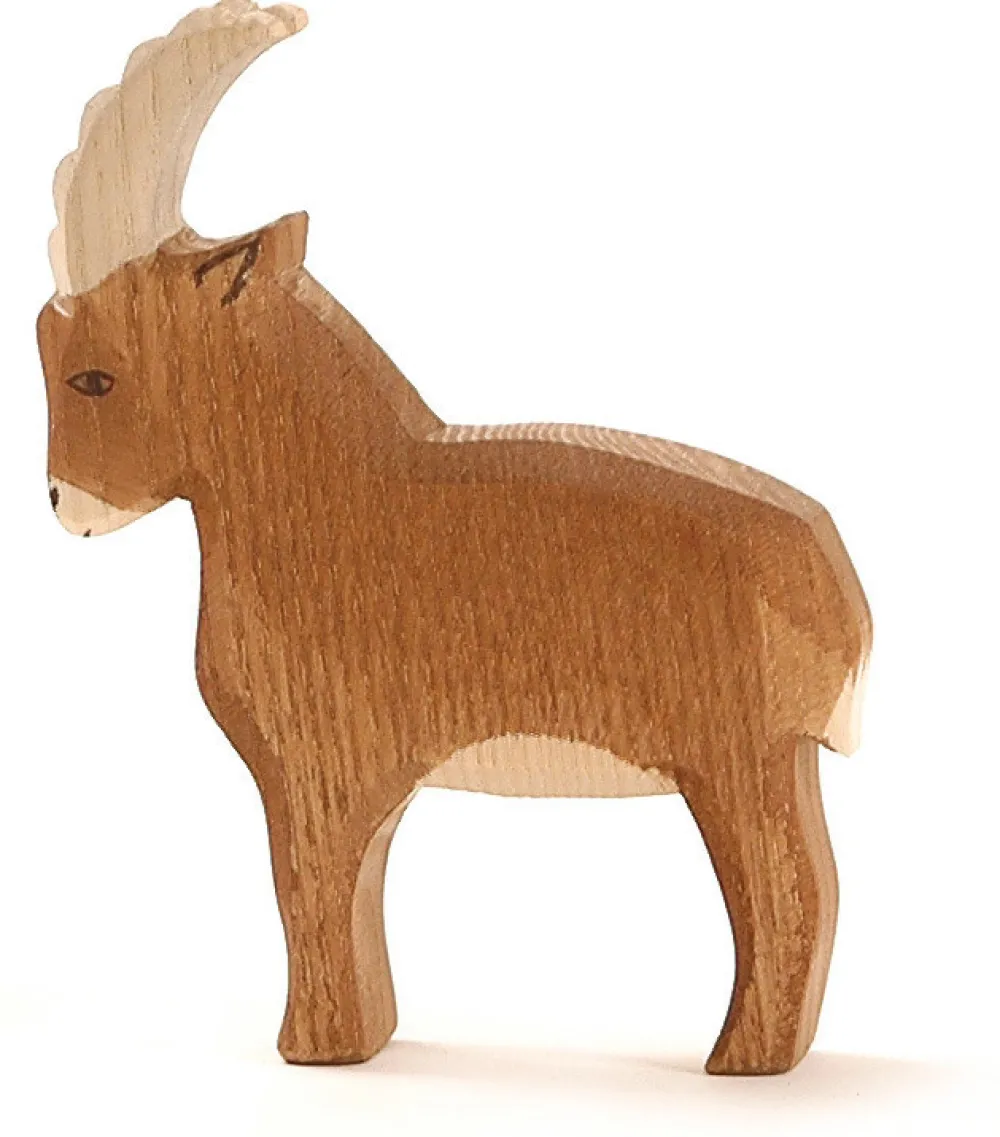 Ostheimer Bosdieren|Geiten^Steenbok 17501