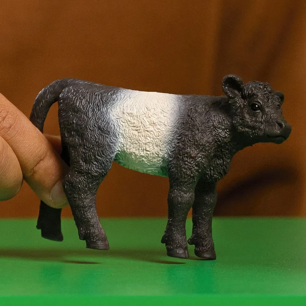 Schleich Farm World^Galloway Kalf