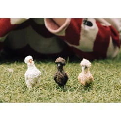 Schleich Farm World^Speelset Kippenvrienden