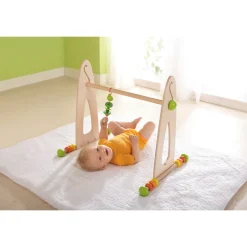 Haba Babyspeelgoed^Speeltrainer Kleurenpret