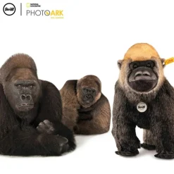 Steiff Steiff|Bekijk Alles^Knuffel Aap National Geograpghic Boogie Gorilla