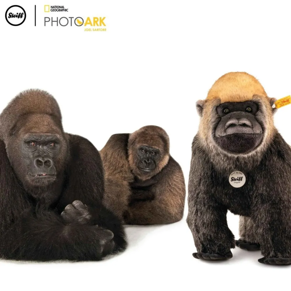 Steiff Steiff|Bekijk Alles^Knuffel Aap National Geograpghic Boogie Gorilla