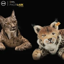 Steiff Steiff|Bekijk Alles^Knuffel Lynx National Geographic Mizzy 35 cm