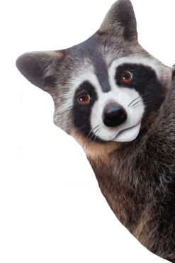 Sticky Tales Decoratie^Muursticker Wasbeer om de Hoek