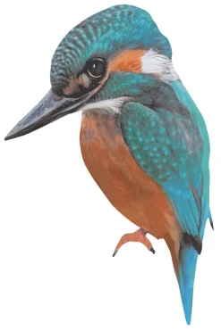 Sticky Tales Decoratie^Muursticker Bella de IJsvogel