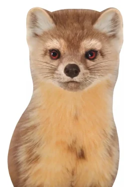 Sticky Tales Decoratie^Muursticker Marter