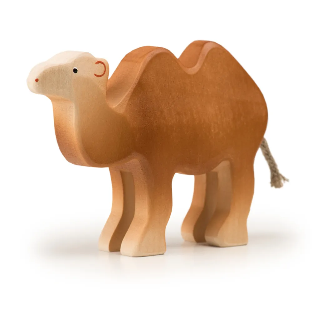 Trauffer Kameelachtigen|Wilde Dieren^Kameel Groot