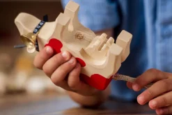 Trauffer Koeien^Koe 2 Roodbont Red Holstein