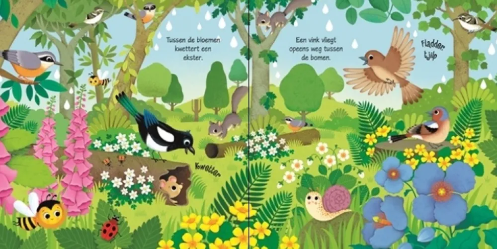 Uitgeverij Usborne Geluidenboeken|Bekijk Alles^Vogels geluidenboekje