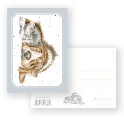 Wrendale Designs Wenskaarten^Dog and Catnap - Postcard