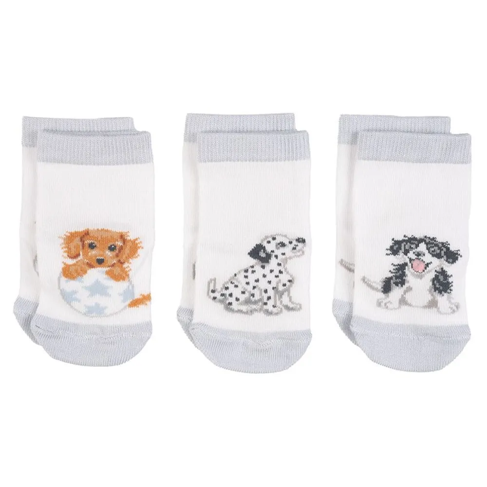 Wrendale Designs Kraamcadeaus^Little Paws Baby Socks Set - 6-12 Months