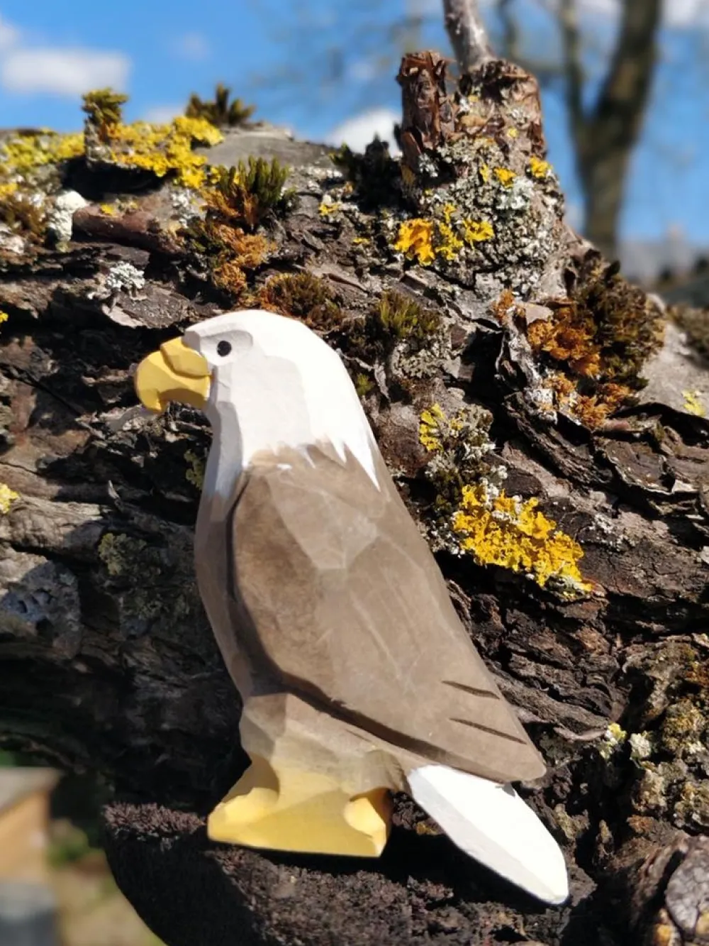 Wudimals Vogels|Vogels^Arend 41002