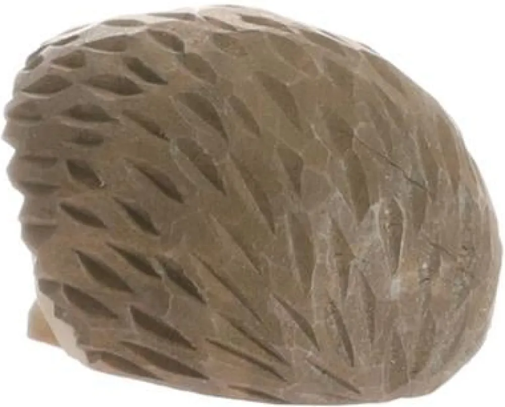 Wudimals Bosdieren^Egel 40713