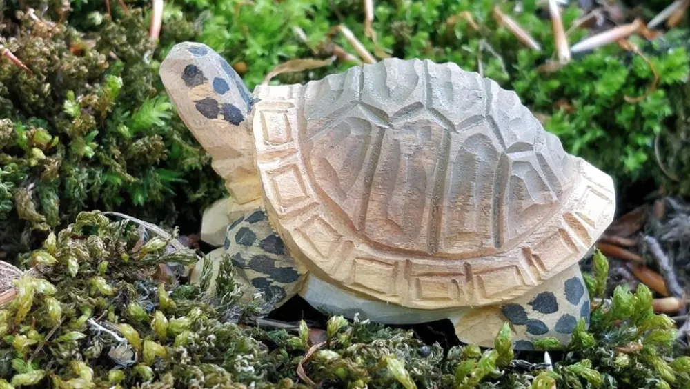 Wudimals Bosdieren|Reptielen^Schildpad 40704